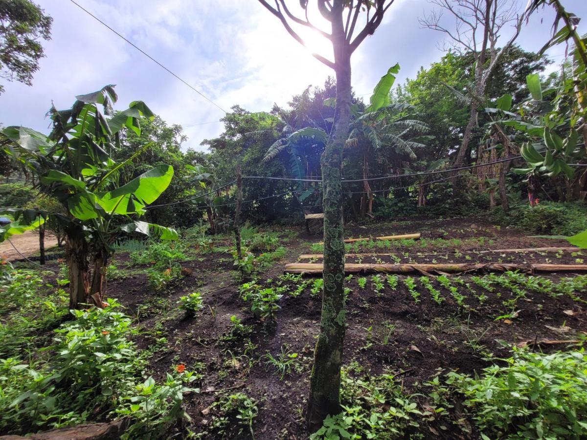 Granja Los Campesinos モンテベルデ エクステリア 写真