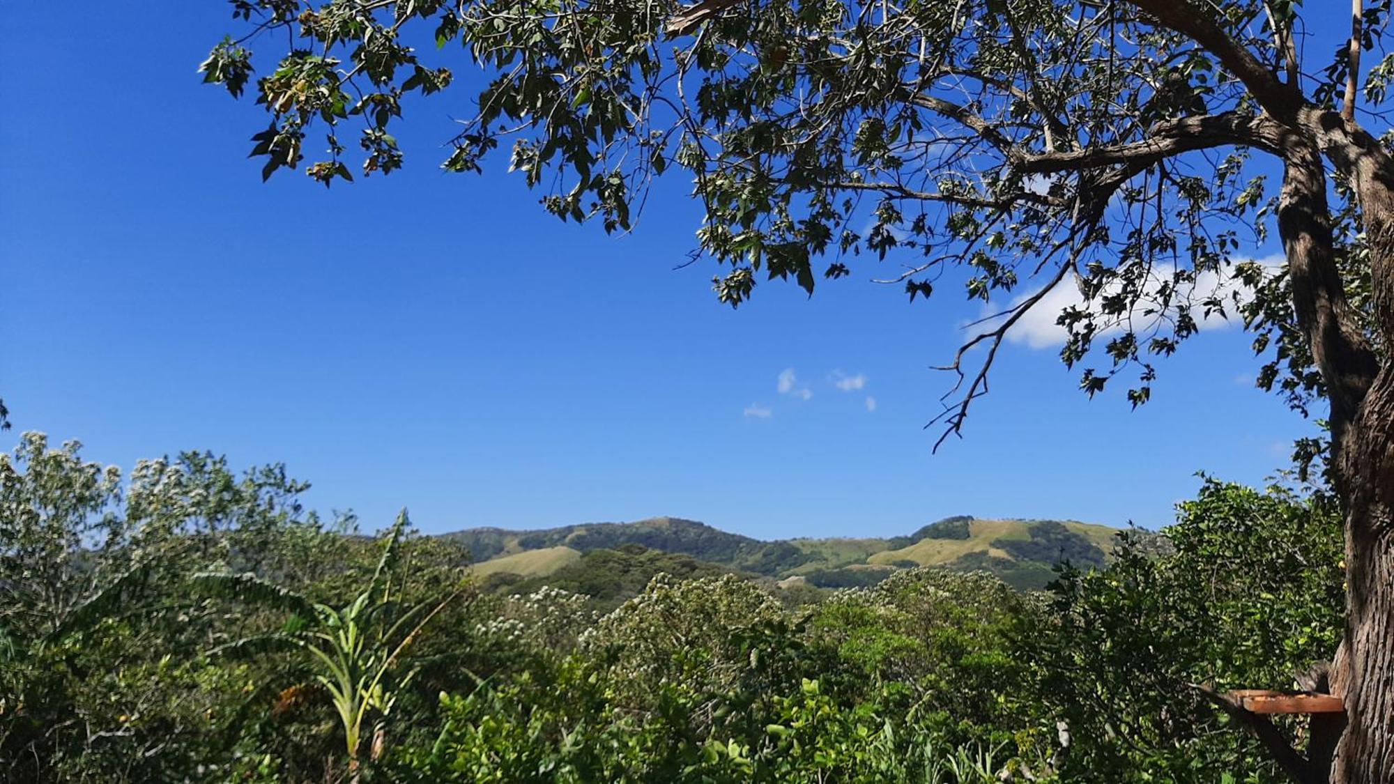Granja Los Campesinos モンテベルデ エクステリア 写真