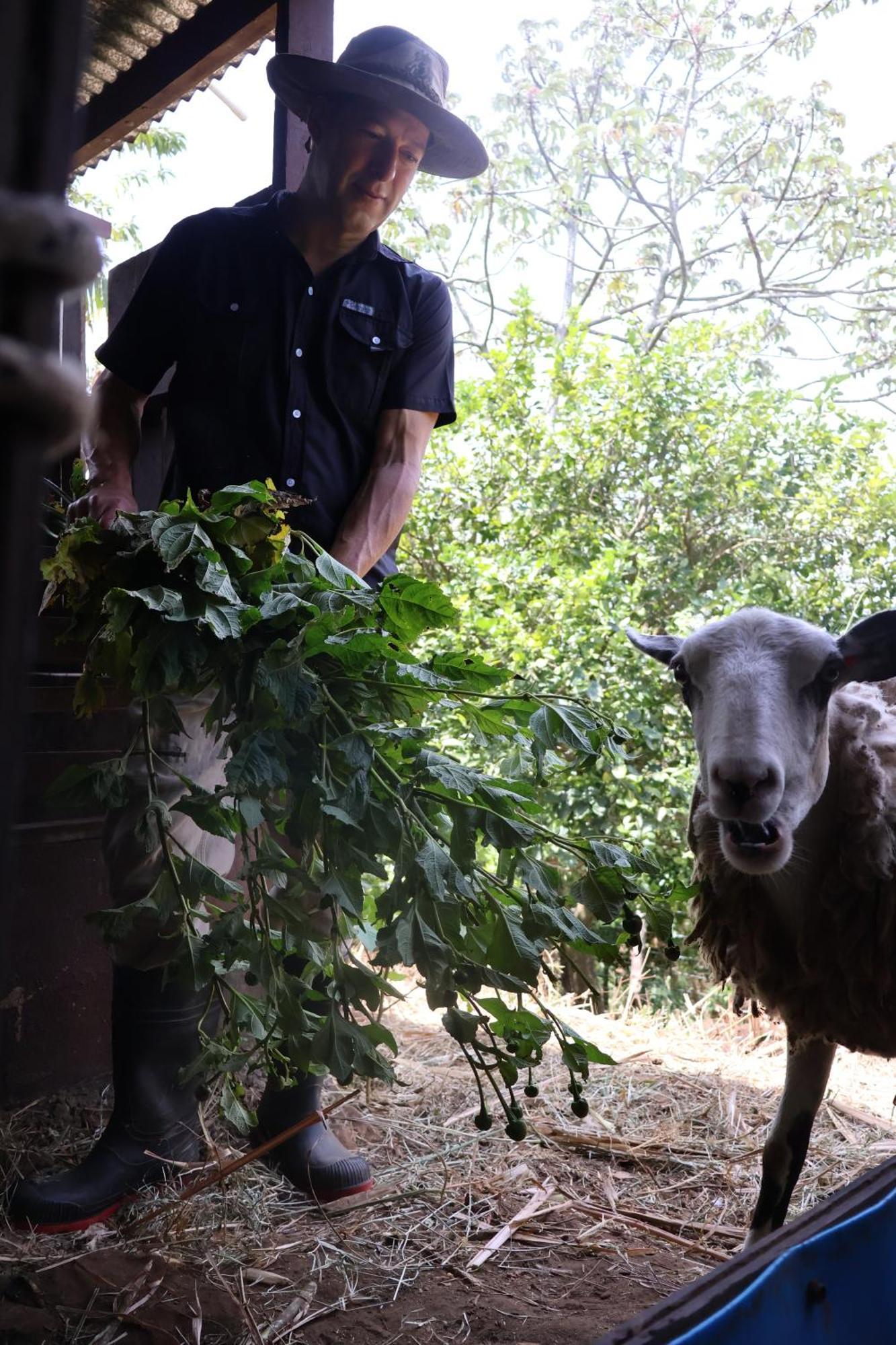 Granja Los Campesinos モンテベルデ エクステリア 写真